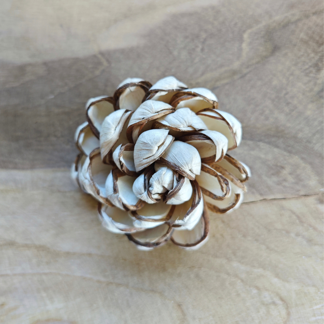 Fleur en bois (Lot de 5) - Jona