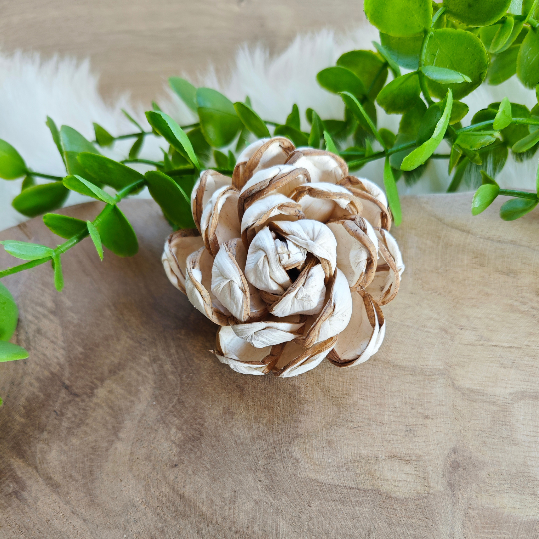 Fleur en bois (Lot de 5) - Jona