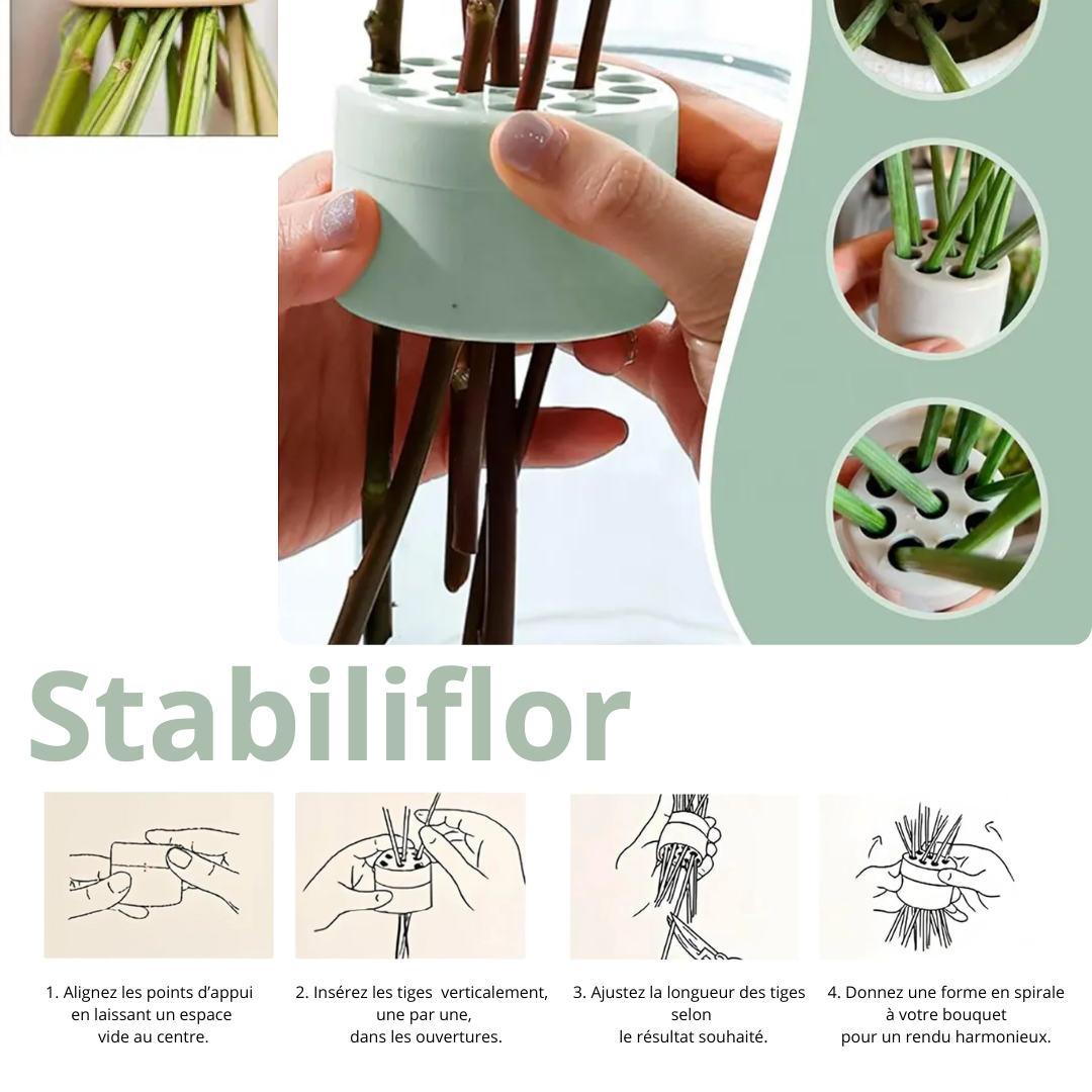Stabiliflor™ – Spirale de maintien pour vos bouquets de fleurs