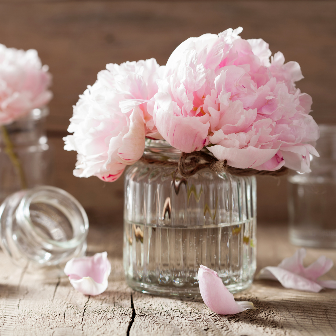 Quelle fleur pour quelle émotion ? Le guide pour offrir avec le cœur