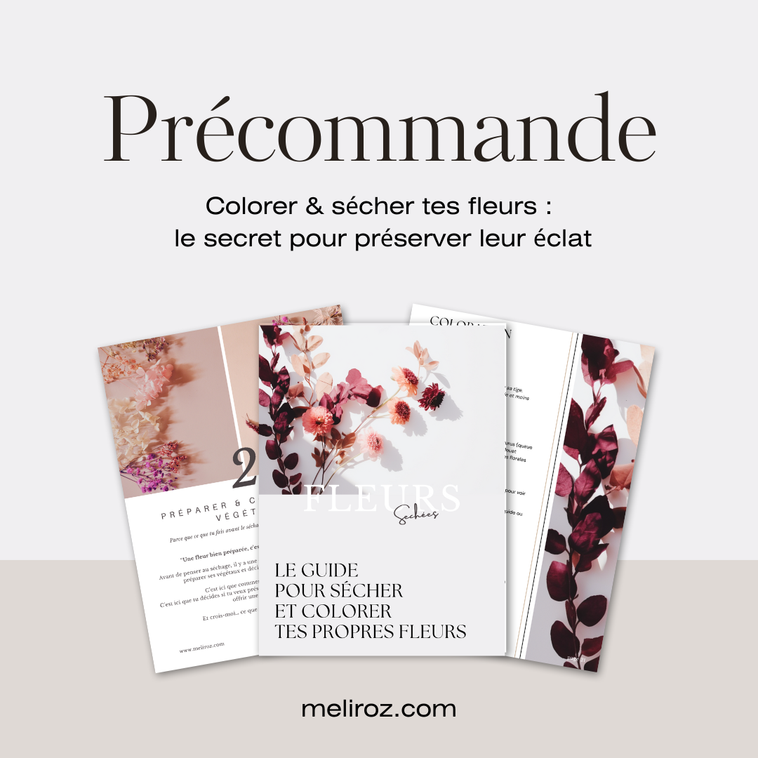 Formation fleurs séchées - 'Éternelles et colorées'