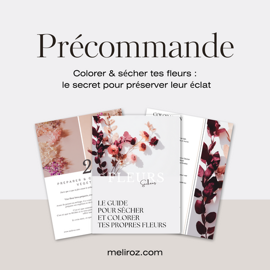 Formation fleurs séchées - 'Éternelles et colorées'